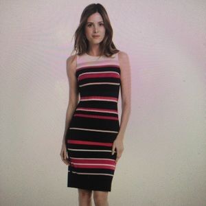 White House Black Market Stripe Sheath Dress